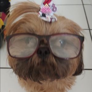 Meet your Posher, Glauco